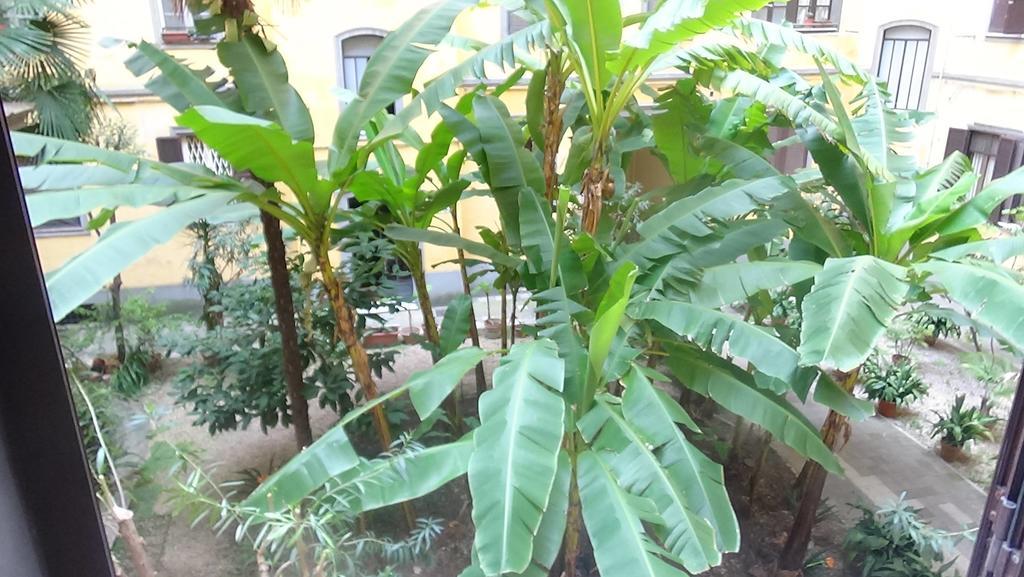 Bed And Breakfast Adduci'S House Rome Exterior photo